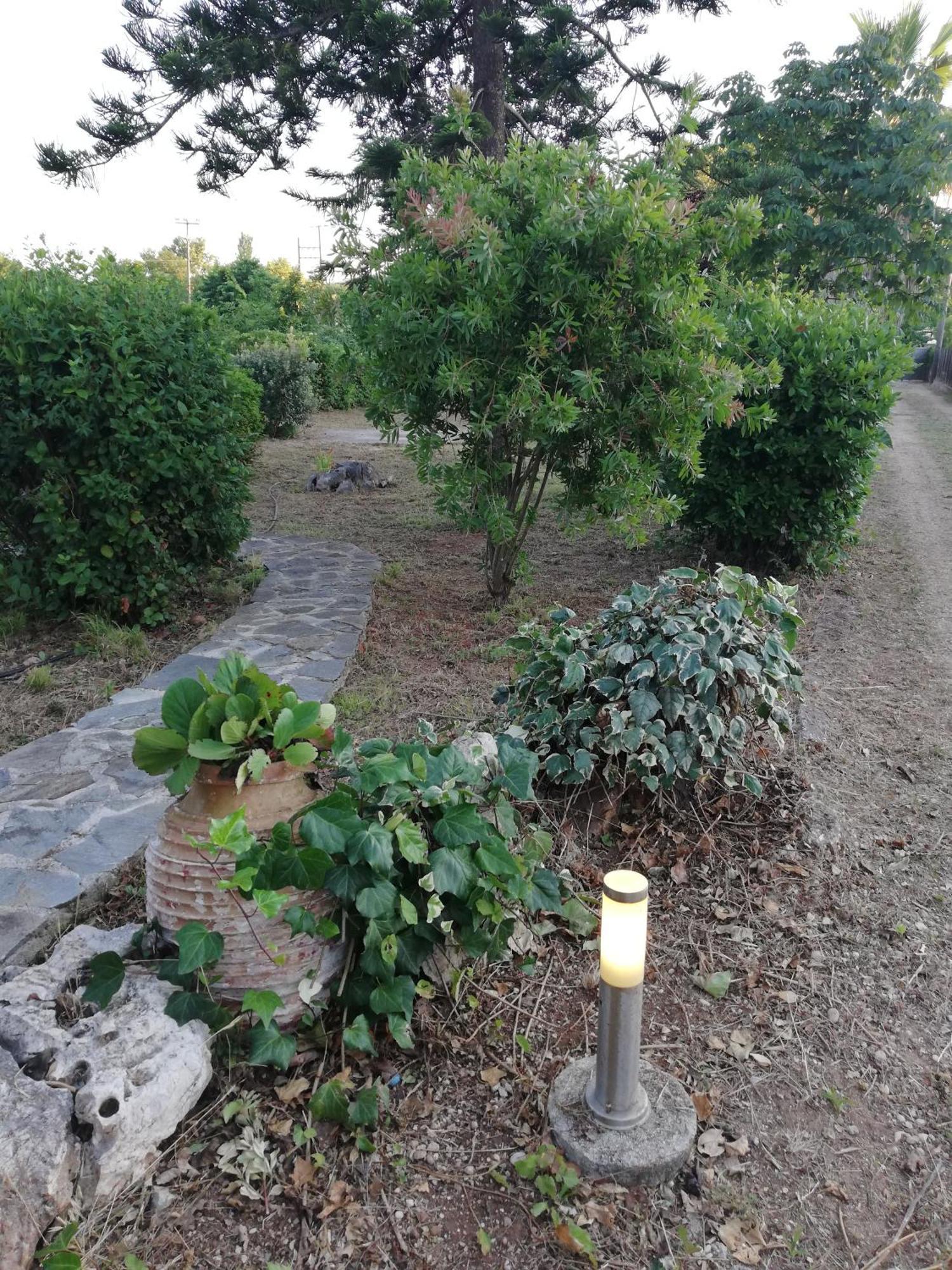 Villa Oneiropagida Prévéza Extérieur photo